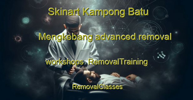 Skinart Kampong Batu Mengkebang advanced removal workshops | RemovalTraining | RemovalClasses | SkinartTraining-Malaysia