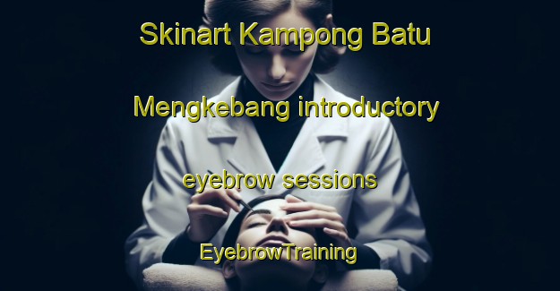 Skinart Kampong Batu Mengkebang introductory eyebrow sessions | EyebrowTraining | EyebrowClasses | SkinartTraining-Malaysia