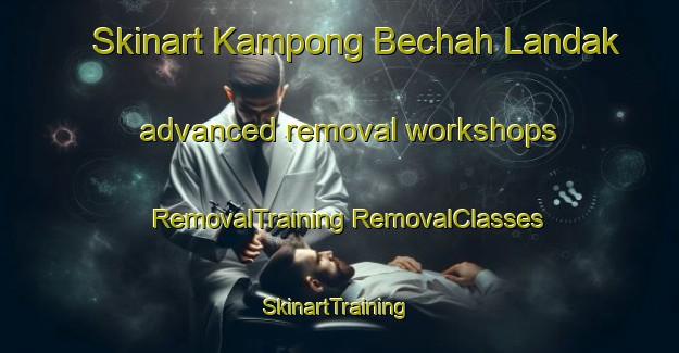 Skinart Kampong Bechah Landak advanced removal workshops | #RemovalTraining #RemovalClasses #SkinartTraining-Malaysia