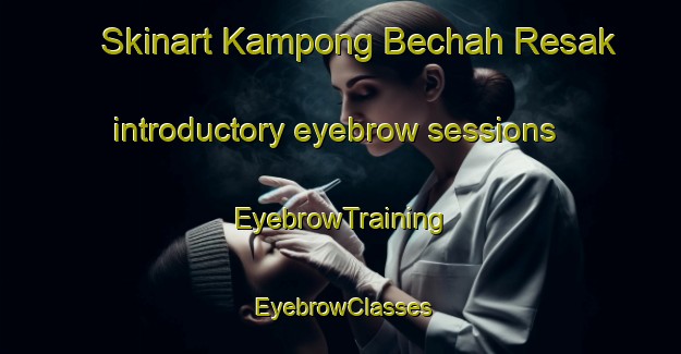 Skinart Kampong Bechah Resak introductory eyebrow sessions | EyebrowTraining | EyebrowClasses | SkinartTraining-Malaysia