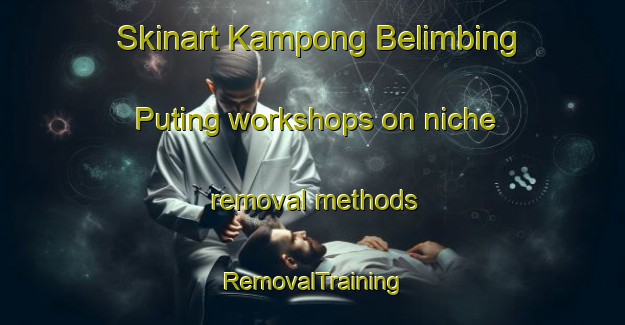 Skinart Kampong Belimbing Puting workshops on niche removal methods | RemovalTraining | RemovalClasses | SkinartTraining-Malaysia