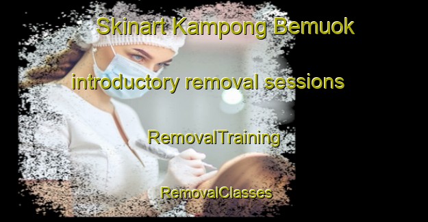 Skinart Kampong Bemuok introductory removal sessions | RemovalTraining | RemovalClasses | SkinartTraining-Malaysia