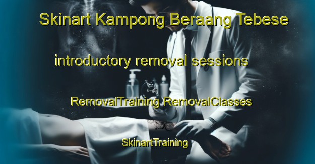 Skinart Kampong Beraang Tebese introductory removal sessions | #RemovalTraining #RemovalClasses #SkinartTraining-Malaysia