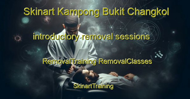 Skinart Kampong Bukit Changkol introductory removal sessions | #RemovalTraining #RemovalClasses #SkinartTraining-Malaysia