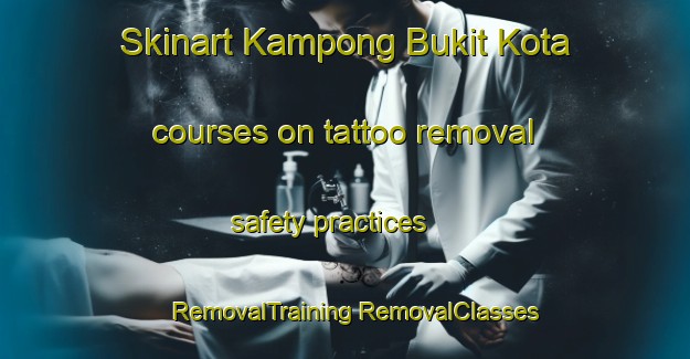 Skinart Kampong Bukit Kota courses on tattoo removal safety practices | #RemovalTraining #RemovalClasses #SkinartTraining-Malaysia