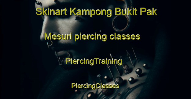 Skinart Kampong Bukit Pak Mesuri piercing classes | #PiercingTraining #PiercingClasses #SkinartTraining-Malaysia