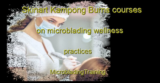 Skinart Kampong Burns courses on microblading wellness practices | MicrobladingTraining | MicrobladingClasses | SkinartTraining-Malaysia