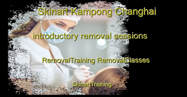 Skinart Kampong Changhai introductory removal sessions | #RemovalTraining #RemovalClasses #SkinartTraining-Malaysia