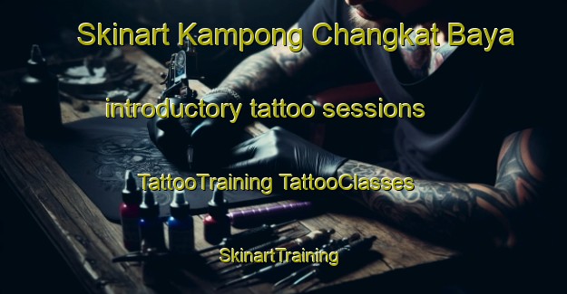 Skinart Kampong Changkat Baya introductory tattoo sessions | #TattooTraining #TattooClasses #SkinartTraining-Malaysia