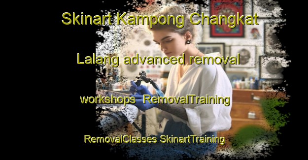 Skinart Kampong Changkat Lalang advanced removal workshops | #RemovalTraining #RemovalClasses #SkinartTraining-Malaysia