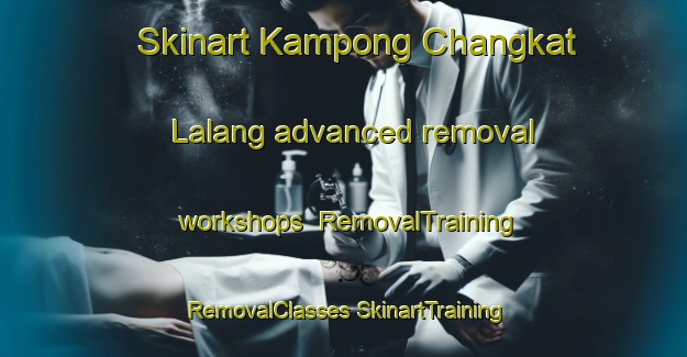 Skinart Kampong Changkat Lalang advanced removal workshops | #RemovalTraining #RemovalClasses #SkinartTraining-Malaysia