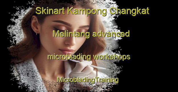 Skinart Kampong Changkat Melintang advanced microblading workshops | #MicrobladingTraining #MicrobladingClasses #SkinartTraining-Malaysia