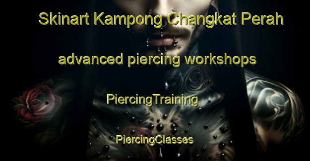 Skinart Kampong Changkat Perah advanced piercing workshops | #PiercingTraining #PiercingClasses #SkinartTraining-Malaysia