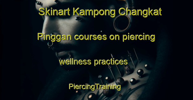 Skinart Kampong Changkat Pinggan courses on piercing wellness practices | #PiercingTraining #PiercingClasses #SkinartTraining-Malaysia