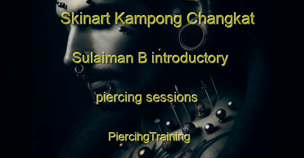 Skinart Kampong Changkat Sulaiman B introductory piercing sessions | #PiercingTraining #PiercingClasses #SkinartTraining-Malaysia