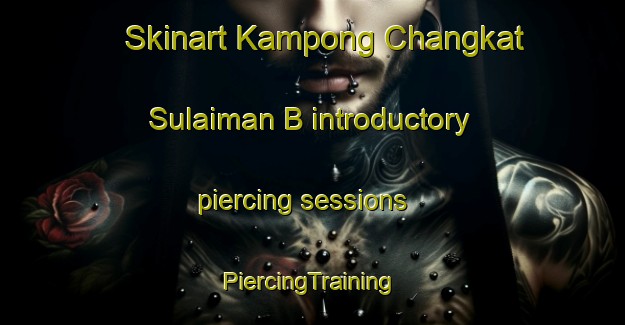 Skinart Kampong Changkat Sulaiman B introductory piercing sessions | #PiercingTraining #PiercingClasses #SkinartTraining-Malaysia