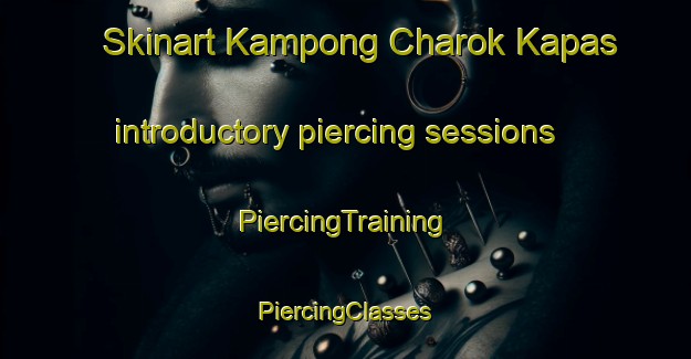 Skinart Kampong Charok Kapas introductory piercing sessions | #PiercingTraining #PiercingClasses #SkinartTraining-Malaysia