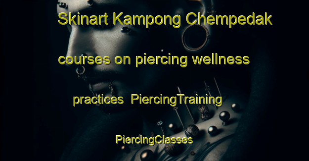 Skinart Kampong Chempedak courses on piercing wellness practices | #PiercingTraining #PiercingClasses #SkinartTraining-Malaysia