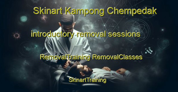 Skinart Kampong Chempedak introductory removal sessions | #RemovalTraining #RemovalClasses #SkinartTraining-Malaysia