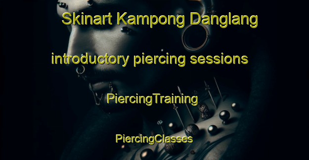 Skinart Kampong Danglang introductory piercing sessions | #PiercingTraining #PiercingClasses #SkinartTraining-Malaysia