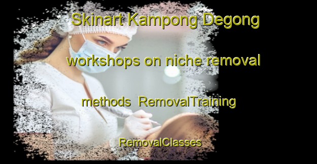 Skinart Kampong Degong workshops on niche removal methods | RemovalTraining | RemovalClasses | SkinartTraining-Malaysia