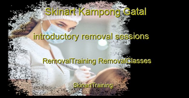 Skinart Kampong Gatal introductory removal sessions | #RemovalTraining #RemovalClasses #SkinartTraining-Malaysia