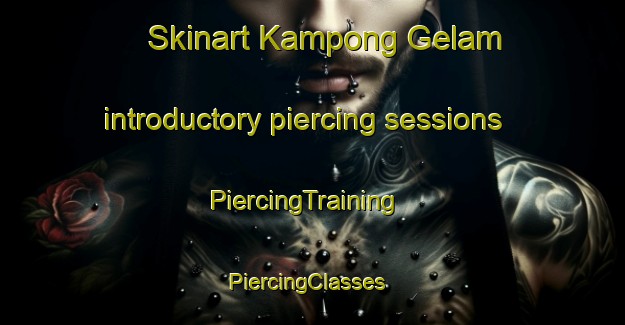 Skinart Kampong Gelam introductory piercing sessions | PiercingTraining | PiercingClasses | SkinartTraining-Malaysia