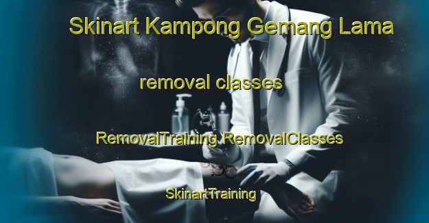 Skinart Kampong Gemang Lama removal classes | #RemovalTraining #RemovalClasses #SkinartTraining-Malaysia