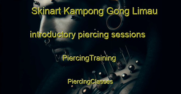 Skinart Kampong Gong Limau introductory piercing sessions | #PiercingTraining #PiercingClasses #SkinartTraining-Malaysia