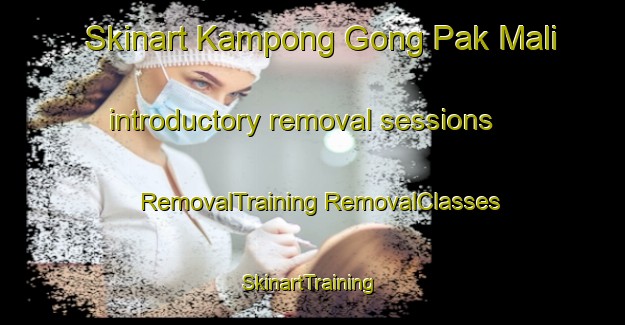 Skinart Kampong Gong Pak Mali introductory removal sessions | #RemovalTraining #RemovalClasses #SkinartTraining-Malaysia