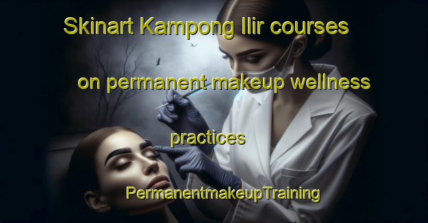 Skinart Kampong Ilir courses on permanent makeup wellness practices | #PermanentmakeupTraining #PermanentmakeupClasses #SkinartTraining-Malaysia