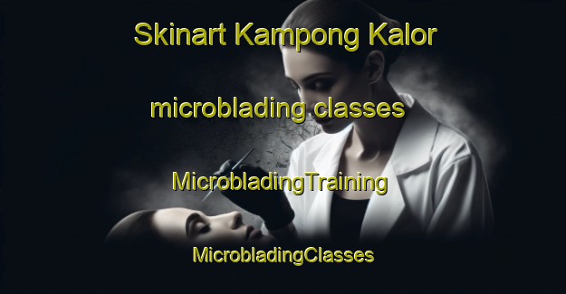 Skinart Kampong Kalor microblading classes | #MicrobladingTraining #MicrobladingClasses #SkinartTraining-Malaysia