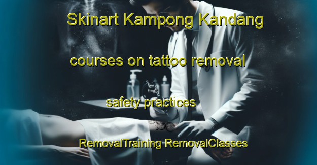 Skinart Kampong Kandang courses on tattoo removal safety practices | #RemovalTraining #RemovalClasses #SkinartTraining-Malaysia