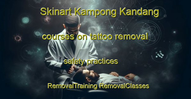 Skinart Kampong Kandang courses on tattoo removal safety practices | #RemovalTraining #RemovalClasses #SkinartTraining-Malaysia