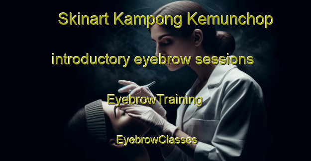 Skinart Kampong Kemunchop introductory eyebrow sessions | EyebrowTraining | EyebrowClasses | SkinartTraining-Malaysia