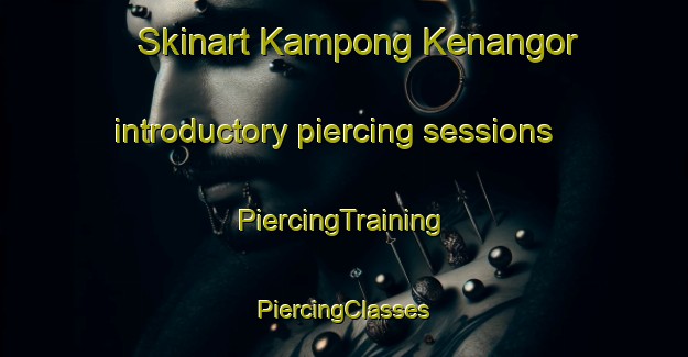 Skinart Kampong Kenangor introductory piercing sessions | #PiercingTraining #PiercingClasses #SkinartTraining-Malaysia