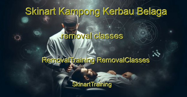 Skinart Kampong Kerbau Belaga removal classes | #RemovalTraining #RemovalClasses #SkinartTraining-Malaysia