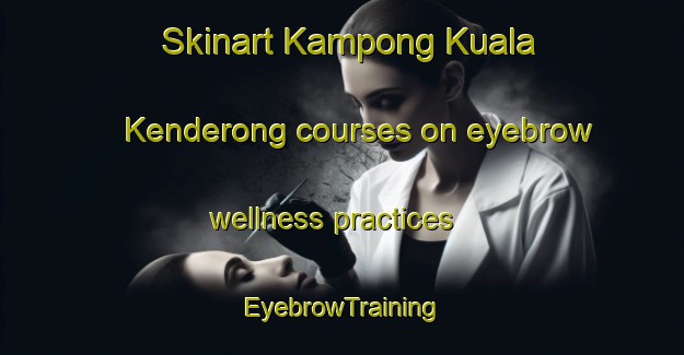 Skinart Kampong Kuala Kenderong courses on eyebrow wellness practices | EyebrowTraining | EyebrowClasses | SkinartTraining-Malaysia