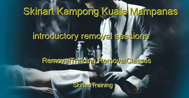 Skinart Kampong Kuala Mampanas introductory removal sessions | #RemovalTraining #RemovalClasses #SkinartTraining-Malaysia