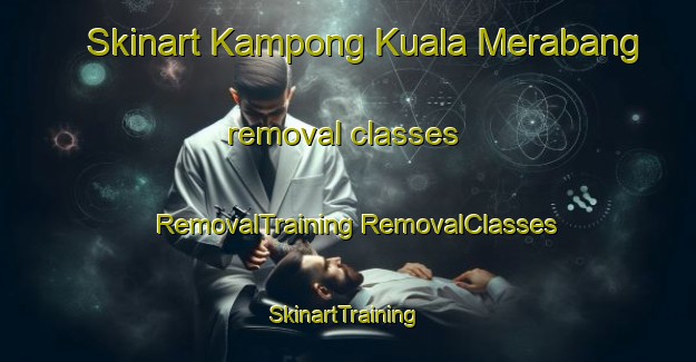 Skinart Kampong Kuala Merabang removal classes | #RemovalTraining #RemovalClasses #SkinartTraining-Malaysia