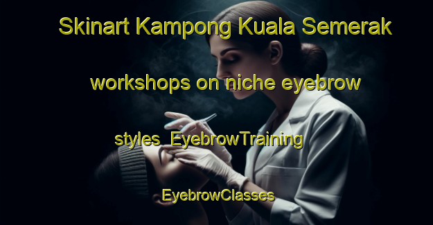 Skinart Kampong Kuala Semerak workshops on niche eyebrow styles | EyebrowTraining | EyebrowClasses | SkinartTraining-Malaysia