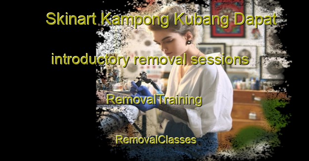 Skinart Kampong Kubang Dapat introductory removal sessions | RemovalTraining | RemovalClasses | SkinartTraining-Malaysia
