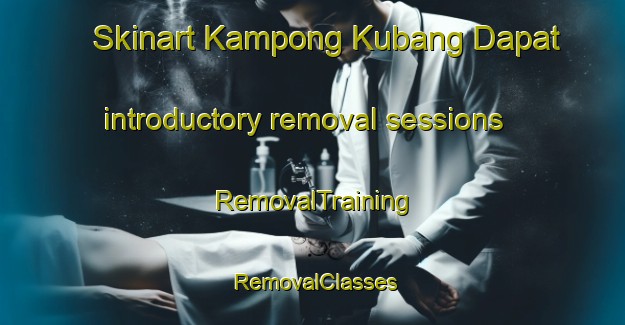 Skinart Kampong Kubang Dapat introductory removal sessions | RemovalTraining | RemovalClasses | SkinartTraining-Malaysia