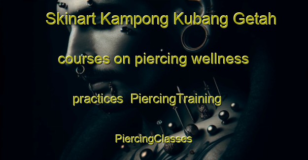 Skinart Kampong Kubang Getah courses on piercing wellness practices | #PiercingTraining #PiercingClasses #SkinartTraining-Malaysia