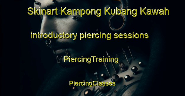 Skinart Kampong Kubang Kawah introductory piercing sessions | #PiercingTraining #PiercingClasses #SkinartTraining-Malaysia