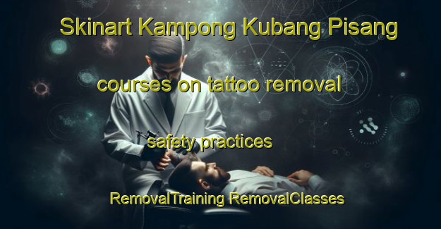 Skinart Kampong Kubang Pisang courses on tattoo removal safety practices | #RemovalTraining #RemovalClasses #SkinartTraining-Malaysia