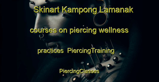 Skinart Kampong Lamanak courses on piercing wellness practices | #PiercingTraining #PiercingClasses #SkinartTraining-Malaysia