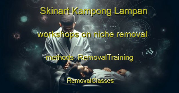 Skinart Kampong Lampan workshops on niche removal methods | RemovalTraining | RemovalClasses | SkinartTraining-Malaysia