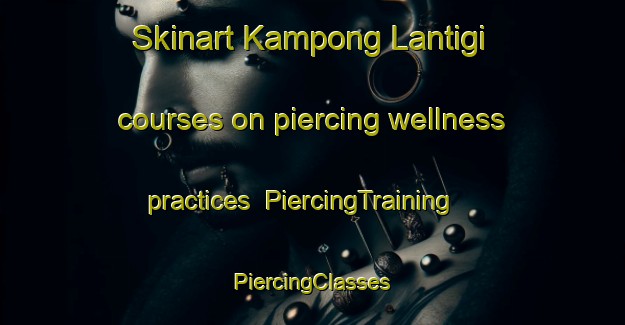 Skinart Kampong Lantigi courses on piercing wellness practices | #PiercingTraining #PiercingClasses #SkinartTraining-Malaysia