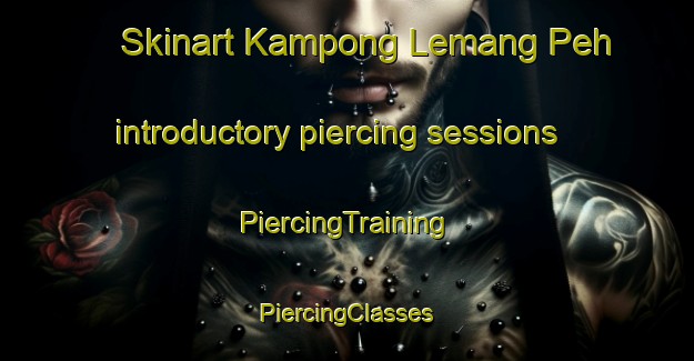 Skinart Kampong Lemang Peh introductory piercing sessions | #PiercingTraining #PiercingClasses #SkinartTraining-Malaysia